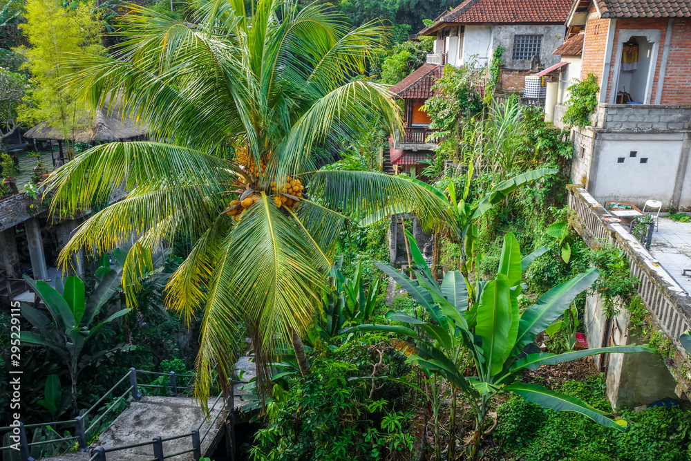 Houses in jungle, Ubud, Bali, Indonesia