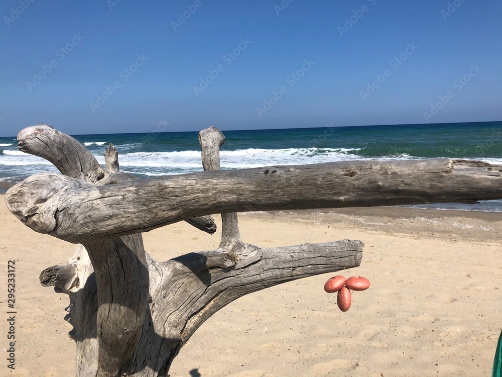 Fototapeta premium bench on the beach