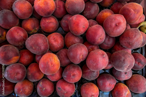 Lots of fresh peaches fruits plucked from branch of orange tree.