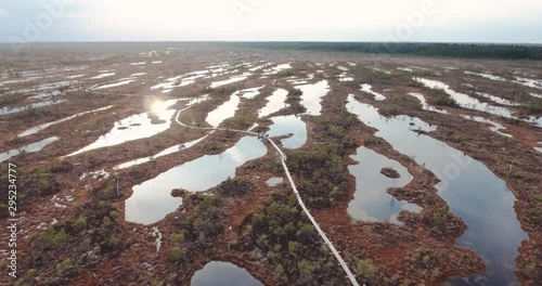 4K Aerial View. Flight Over Swamps. photo