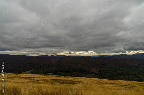 Fototapeta Naklejka Na Ścianę i Meble -  Panorama z połoniny Wetlińskiej Bieszczady