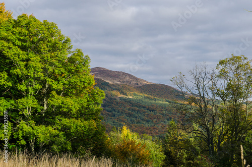 Fototapeta Naklejka Na Ścianę i Meble -  Bieszczady panorama z połoniny Wetlińskiej 