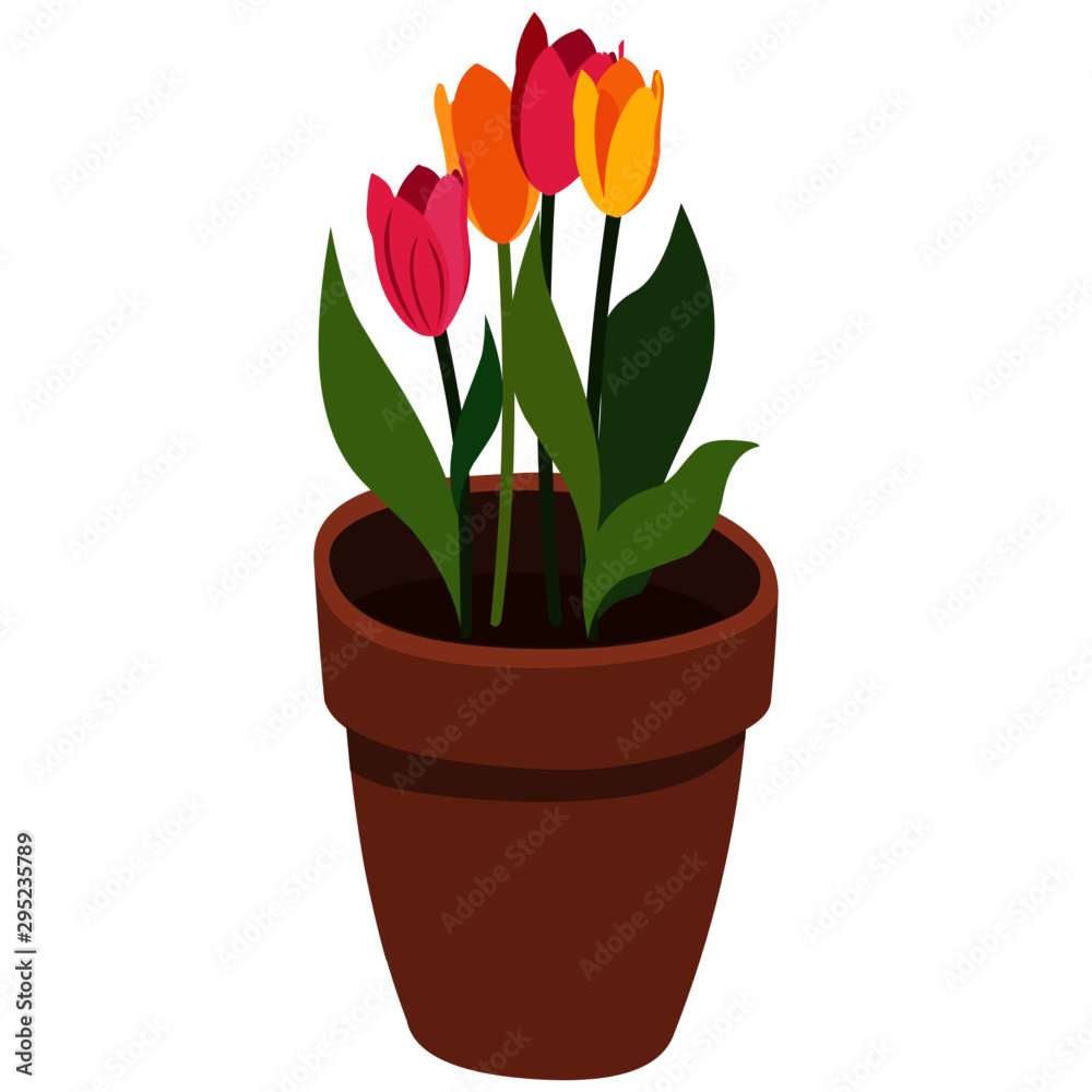 Beautiful Flower Pot - Cartoon Vector Image