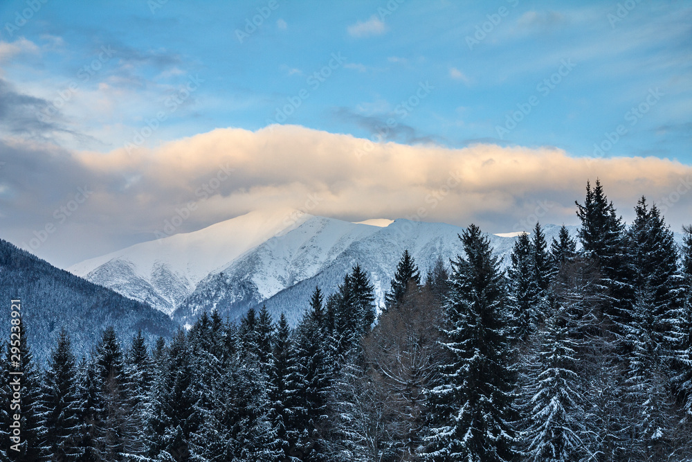 Winter landscape covered with snow in The Western Tatras mountain, Slovakia, Europe.