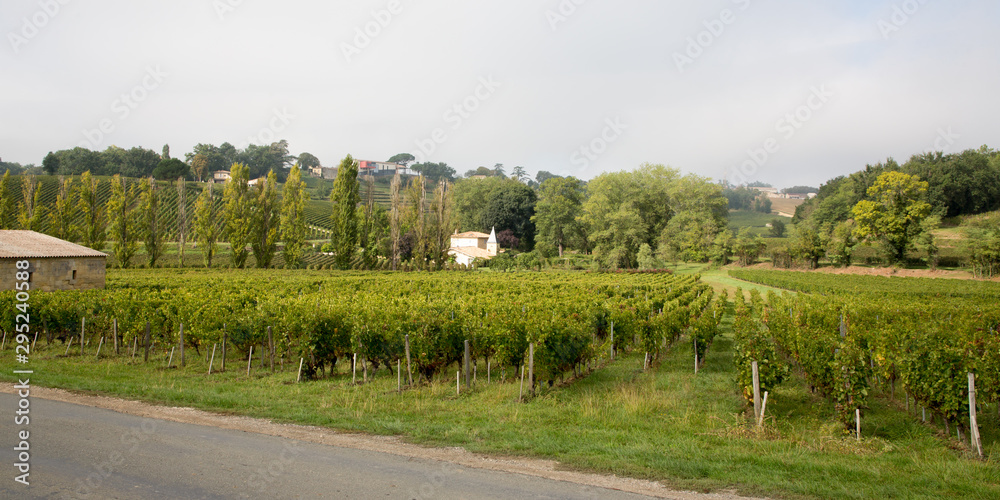 landscape bordeaux vineyard france wine saint emilion