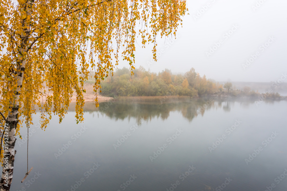 Fototapeta premium Tree with Fall Foliage at a Lake in Northern Europe