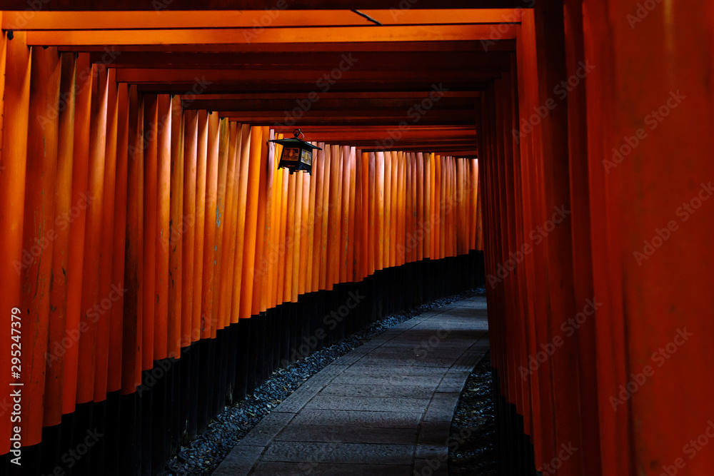 Fototapeta premium Fushimi Inari