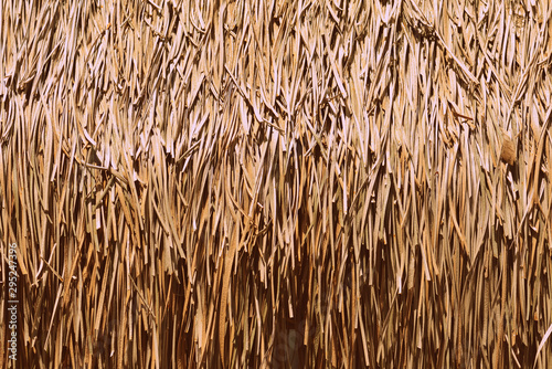 Palm roof texture close up. Retro style tropical background