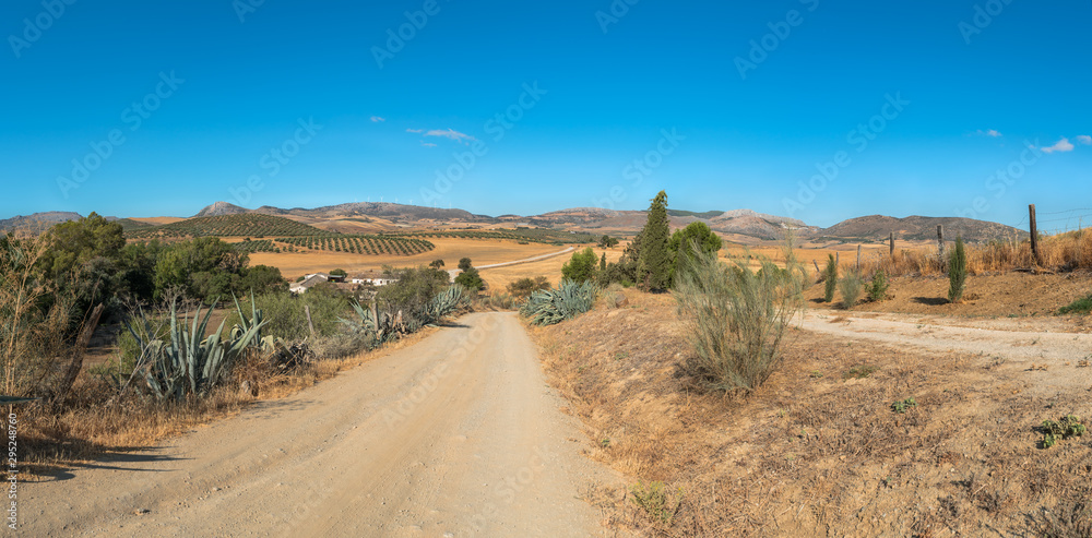 Mountain landscape. A country road passes by olive groves. In the distance, the turbines of a wind farm are visible. Panorama