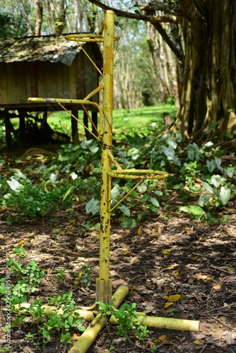 The home of the villagers in the community of a minority group known as the Karen in Thailand.