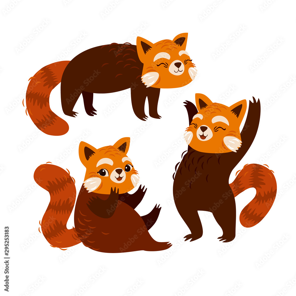 vector set with red panda on an isolated white background. cute rare animal. red cat