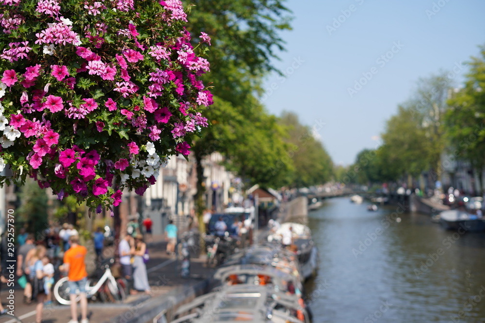 オランダの花