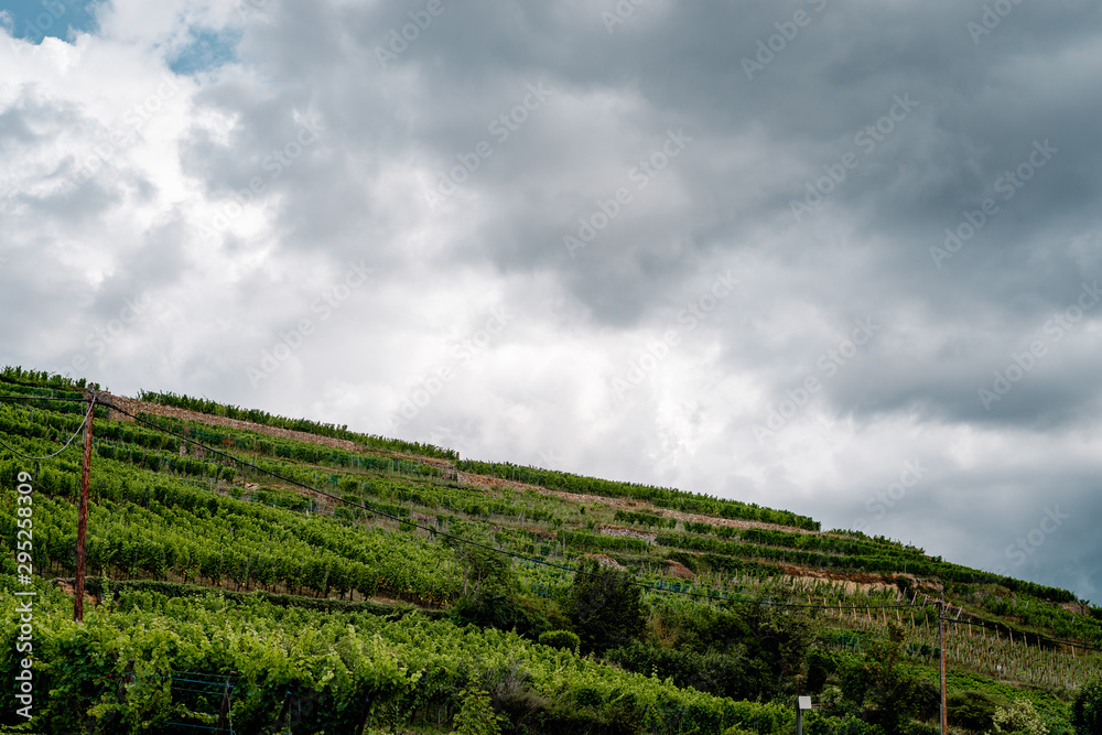 Obraz premium Picturesque views of the streets of Ribeauville in Alsace, France