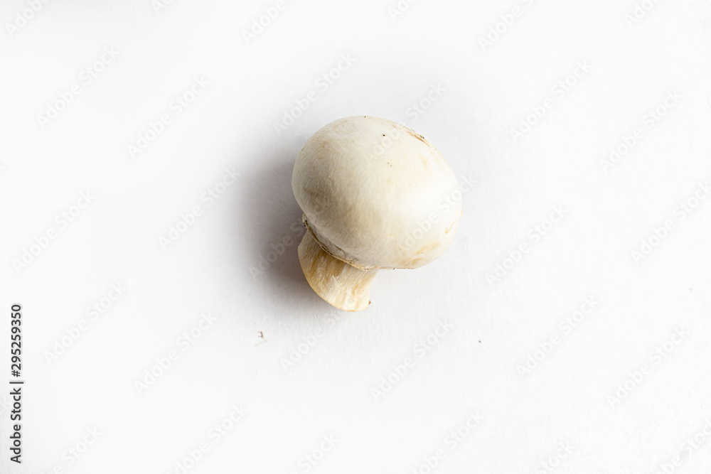 fresh champignon mushrooms on a white background fresh champignon mushrooms on a white background