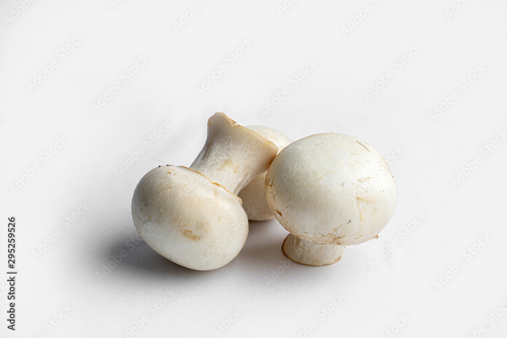 fresh champignon mushrooms on a white background fresh champignon mushrooms on a white background