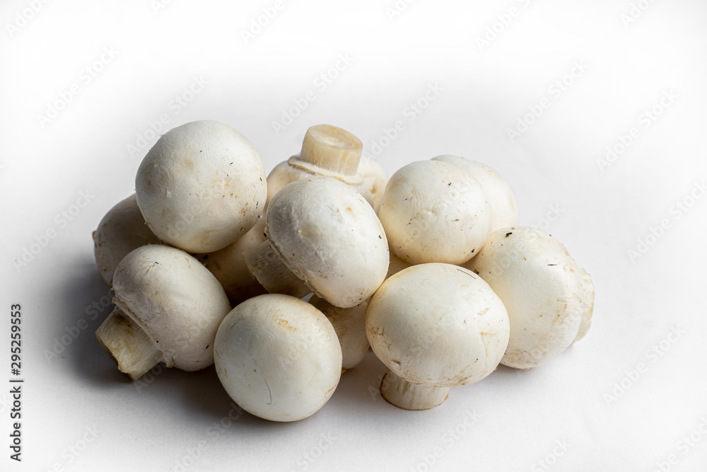 fresh champignon mushrooms on a white background fresh champignon mushrooms on a white background