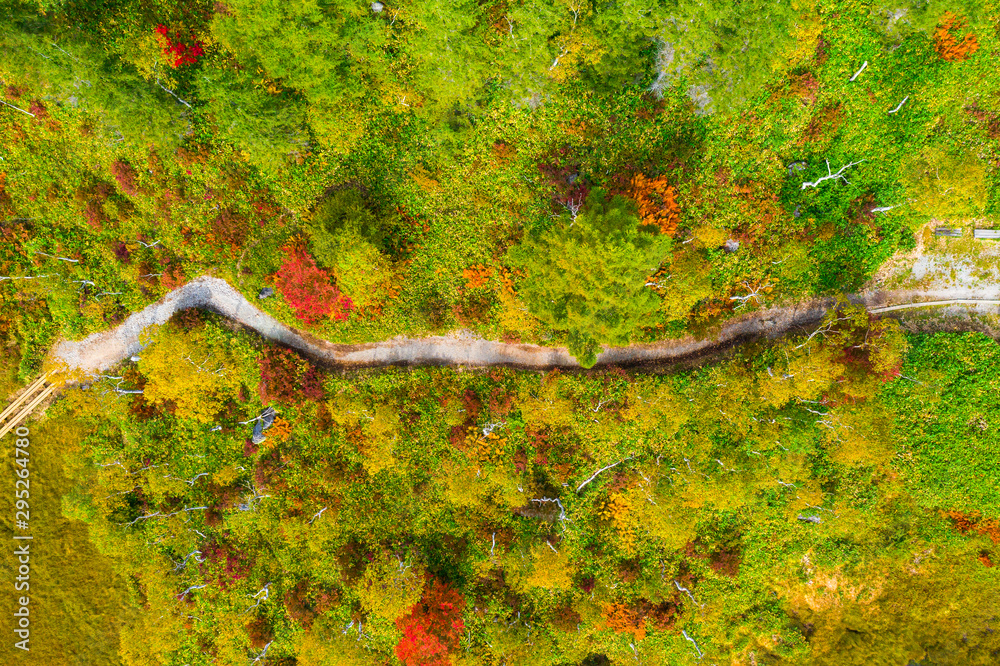 Aerial view of autumn forest in mountain Aerial view of autumn forest in mountain