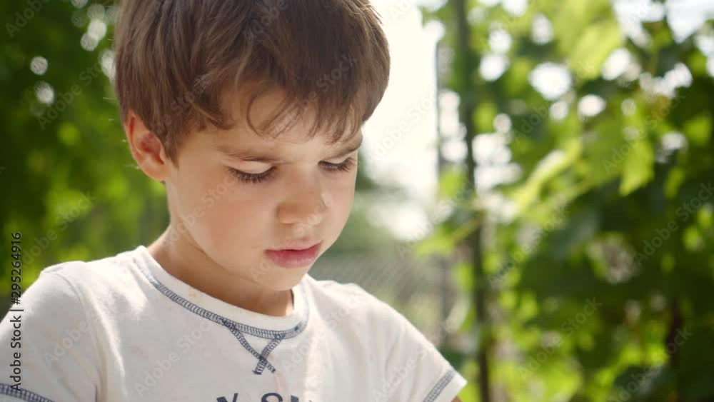 child has a penchant for natural science. examines the mummified head of a bird child has a penchant for natural science. examines the mummified head of a bird