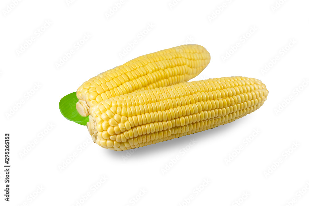 Sweet corn is most popular. High in sweetness and low in fat By boiling or roasting. Sweet corn is most popular. High in sweetness and low in fat By boiling or roasting.