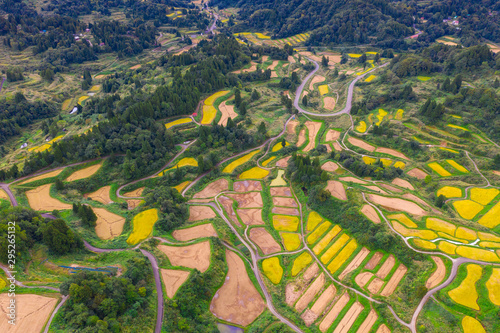 Aerial view of golden terrace rice field in Hoshitoge, Niigata, Japan photo