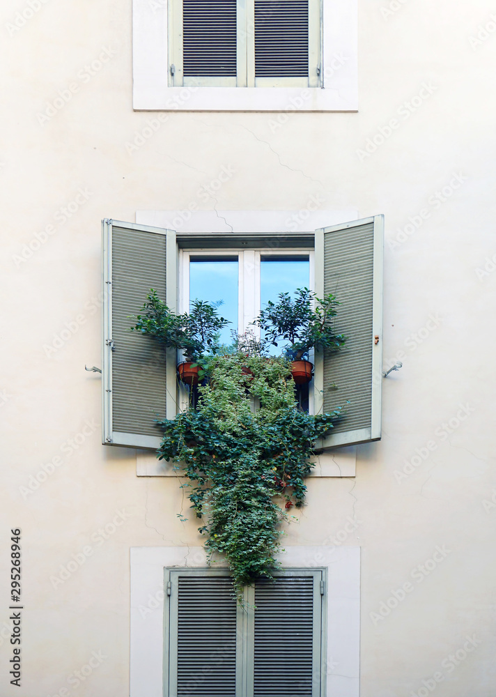 Window with open shutters and potted ivy plants and other flowers on a facade of a building