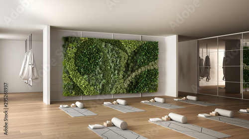 Empty yoga studio interior design, space with mats, hammocks, pillows and accessories, parquet, mirror, vertical garden and big panoramic window, ready for yoga practice, meditation
