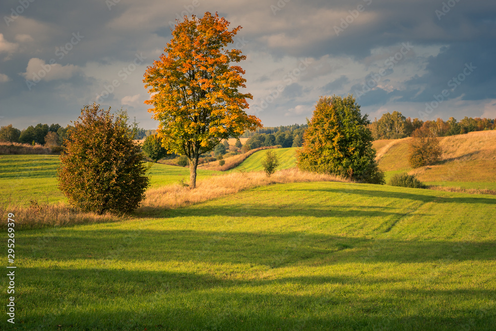 Masurian meadows at autumn near Banie Mazurskie, Masuria, Poland