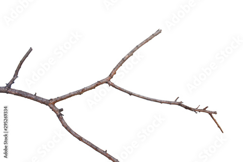 barbed wire isolated on white background