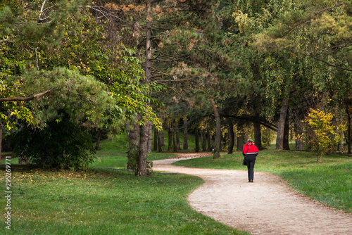 Une femme marchant seule dans un parc. Une femme se promène. Une femme mûre dans un parc. Une retraitée dans un parc faisant du sport. Une mamie sportive