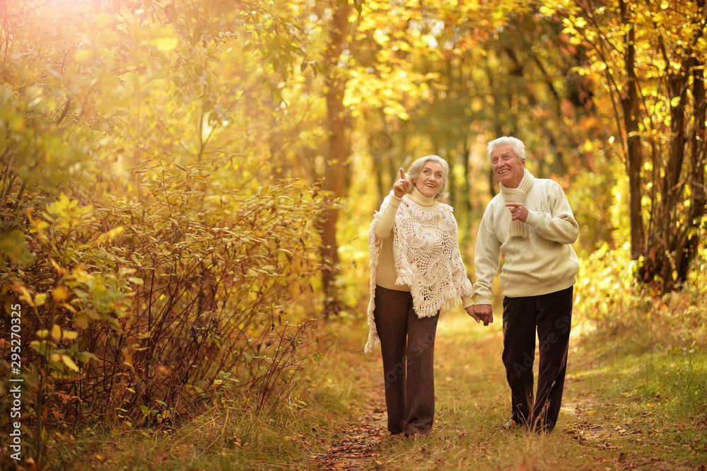 Portrait of happy senior woman and man