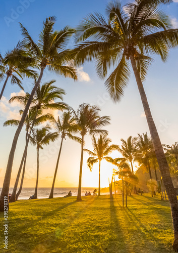 palm trees on the beach of Grand’Anse at sunset