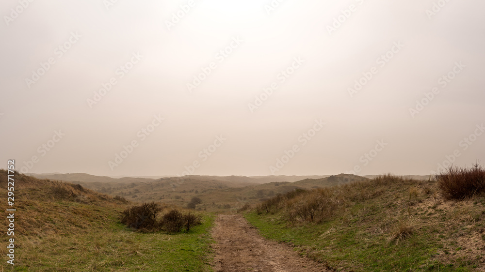 Path in a misty dune landscape Path in a misty dune landscape
