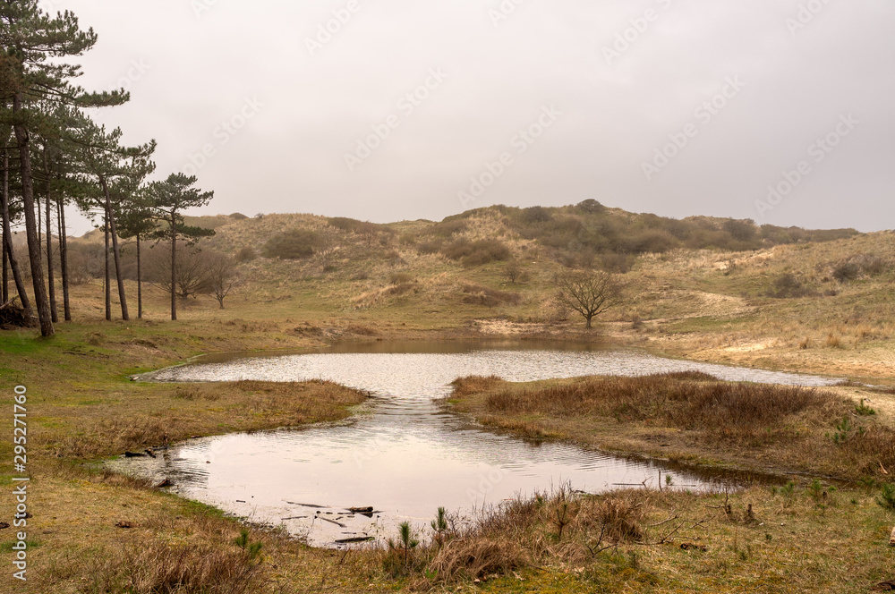 Dune lake with trees