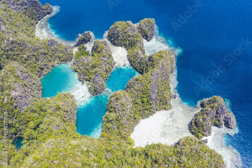 Fringing coral reefs thrive along the edge of the beautiful limestone islands found near Misool, Raja Ampat, Indonesia. This tropical area is known for its incredible marine biodiversity.