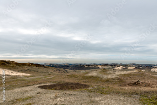 Panoramic view on a dune landscape