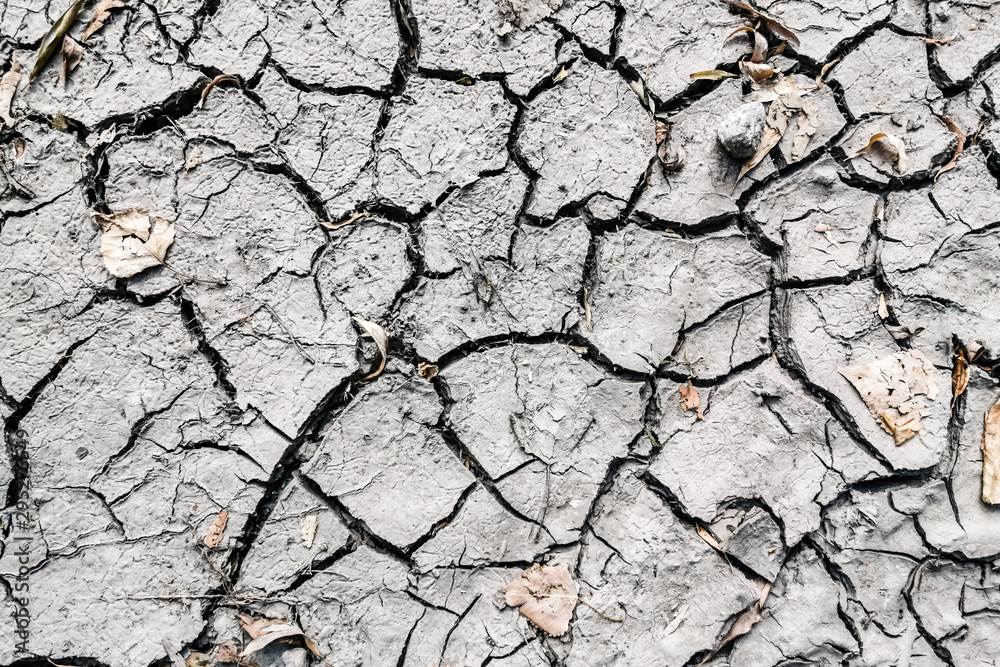 Fototapeta premium Surface of a grungy dry cracking parched earth for textural background.