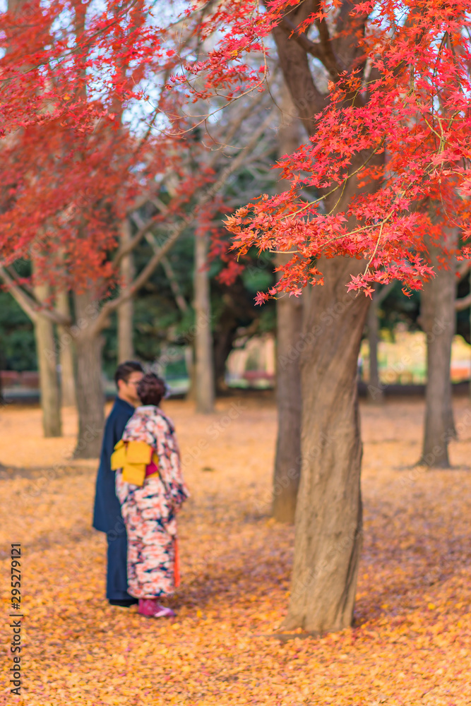 Couple in kimono outfit admiring the beautiful autumn colors of Japanese maple tree iroha momiji leaves in Yoyogi public park in Japan Couple in kimono outfit admiring the beautiful autumn colors of Japanese maple tree iroha momiji leaves in Yoyogi public park in Japan