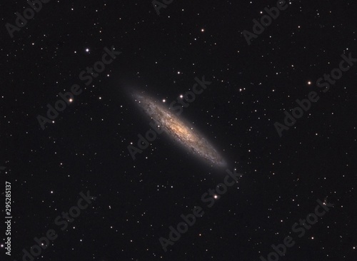 Galaxy NGC 253 in Sculptor, also known as "Silver Dollar", taken with a professional telescope. At the distance of 11 million light years, it's one of the closest and brightest galaxies in the sky.