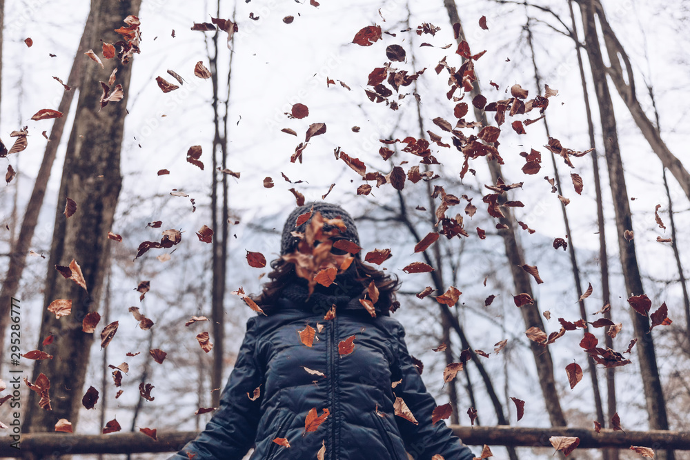 girl or woman playing with leaves floating autumn season concept in the forest. girl or woman playing with leaves floating autumn season concept in the forest.