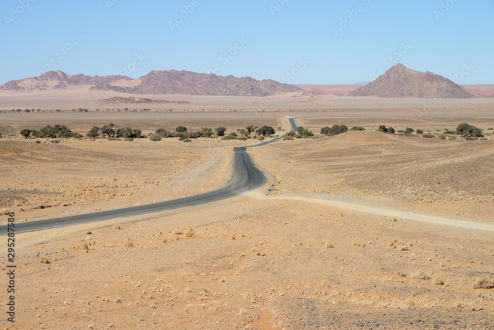 Steppe, Namib desert, Namibia