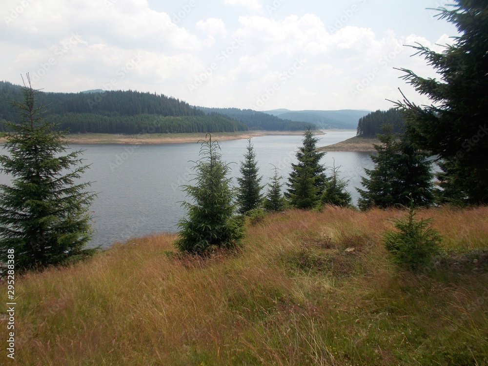 Fototapeta premium Mountain landscape with lake, trees and clouds