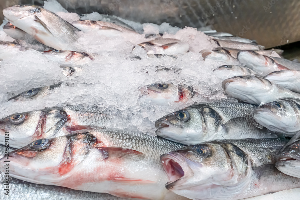 Fresh sea bass, Dicentrarchus labrax, on display on a market stall Fresh sea bass, Dicentrarchus labrax, on display on a market stall