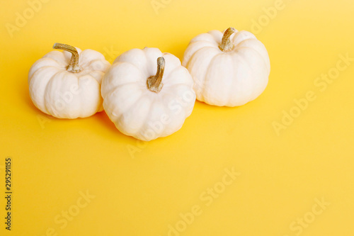 White baby boo pumpkins on yellow background