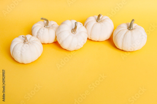 White baby boo pumpkins on yellow background