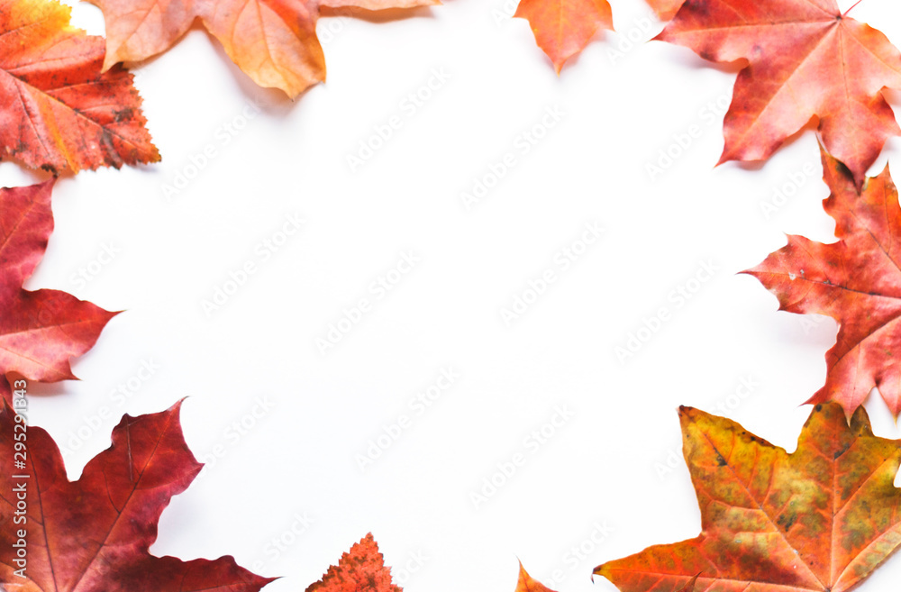 Autumn composition frame of autumn leaves on a white background. Flat position, top view, copy space Autumn composition frame of autumn leaves on a white background. Flat position, top view, copy space
