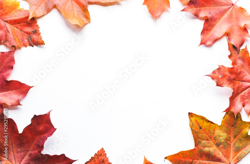 Autumn composition frame of autumn leaves on a white background. Flat position  top view  copy space