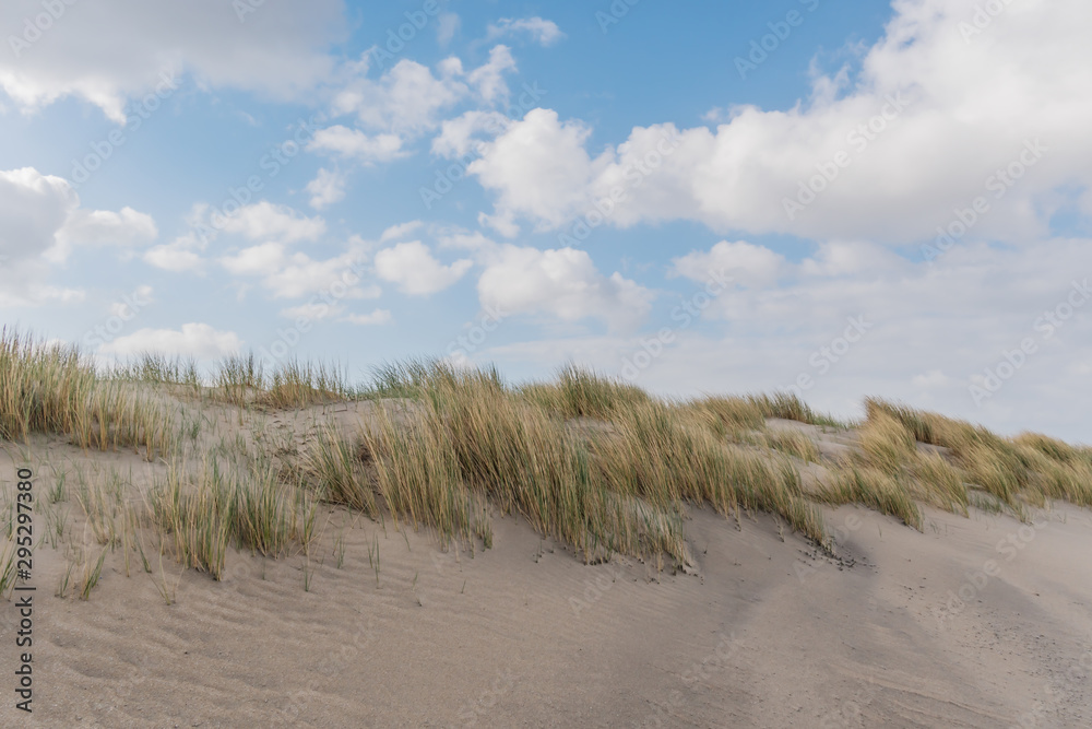 Dünen am Strand – Kijkduin Strand, Den Haag, Holland, Niederlande