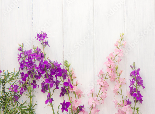 flowers on white  background with frame, flower postcard for Women's Day, Mother's Day or sale concept. Floral spring background with copy space.