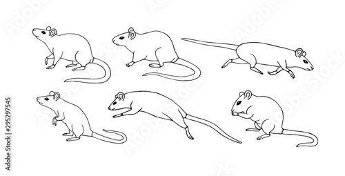 Vector hand drawn sketch set bundle of rat mouse isolated on white background