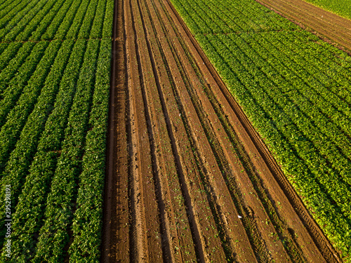 Semi-Harvested agricultural field  Aerial image.